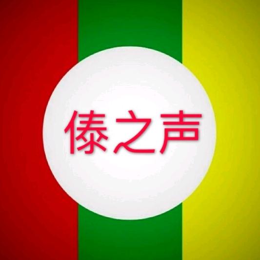 @仔冒板