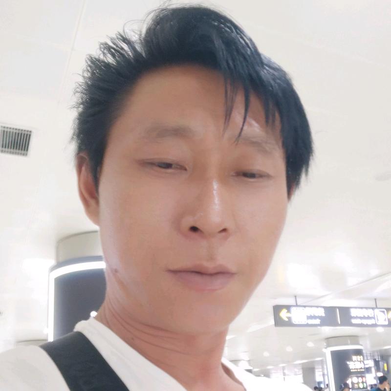 凤舞九天