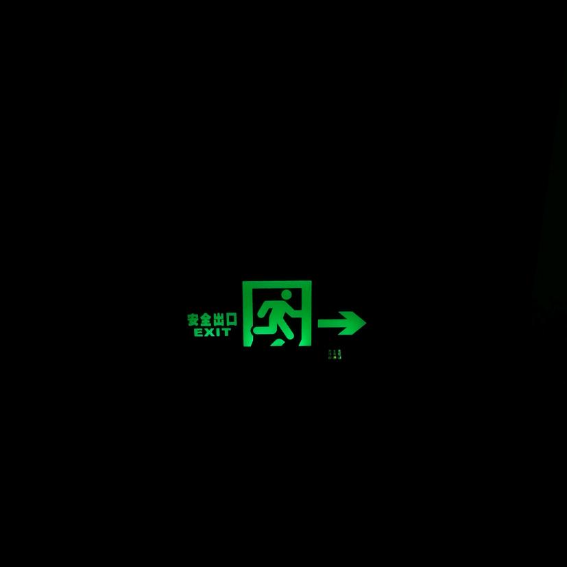 什么都吃