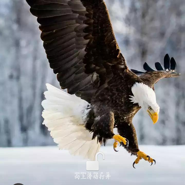 库车新芽汽修店热合曼