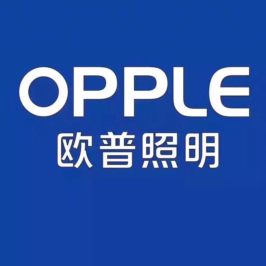 OPPLE欧普照明（曲周店）