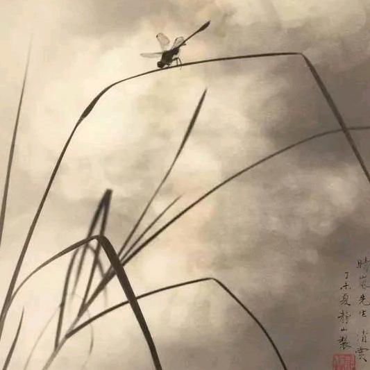 醉清风