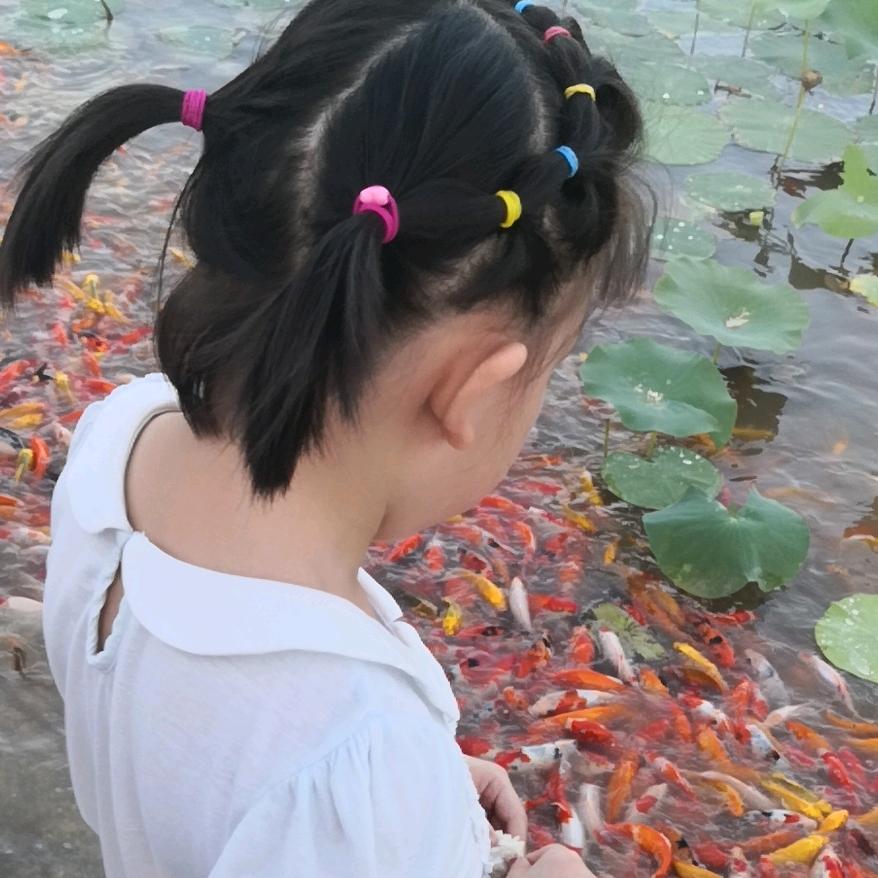 YY爱分享——感谢关注
