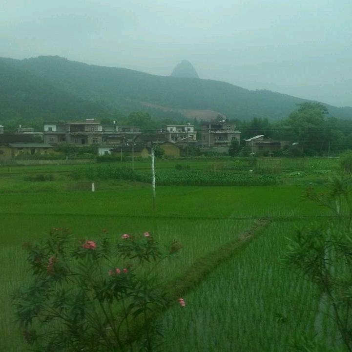 晨曦月光