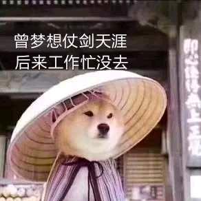 遇事不决，可问春风