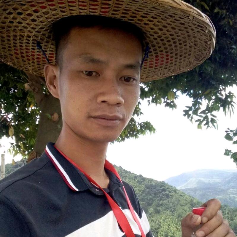 蜜蜂🐝嗡嗡叫黄金进万量