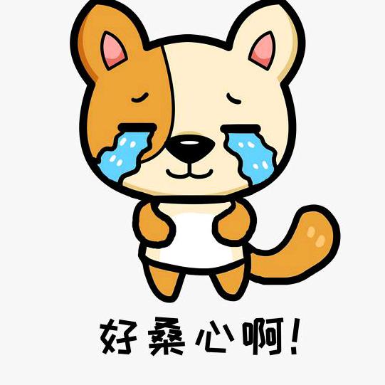 摸着石头过河