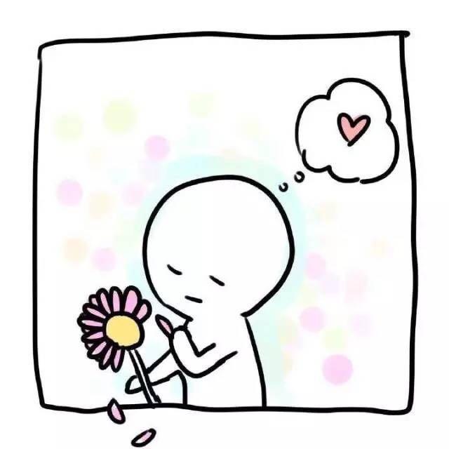 花灬卡卡