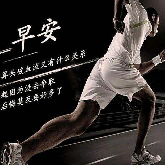 固执的鱼