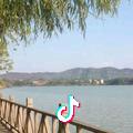 为了忘却的旅程、