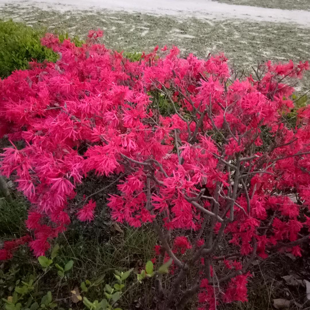 顺其自然呗（拒绝连赞）