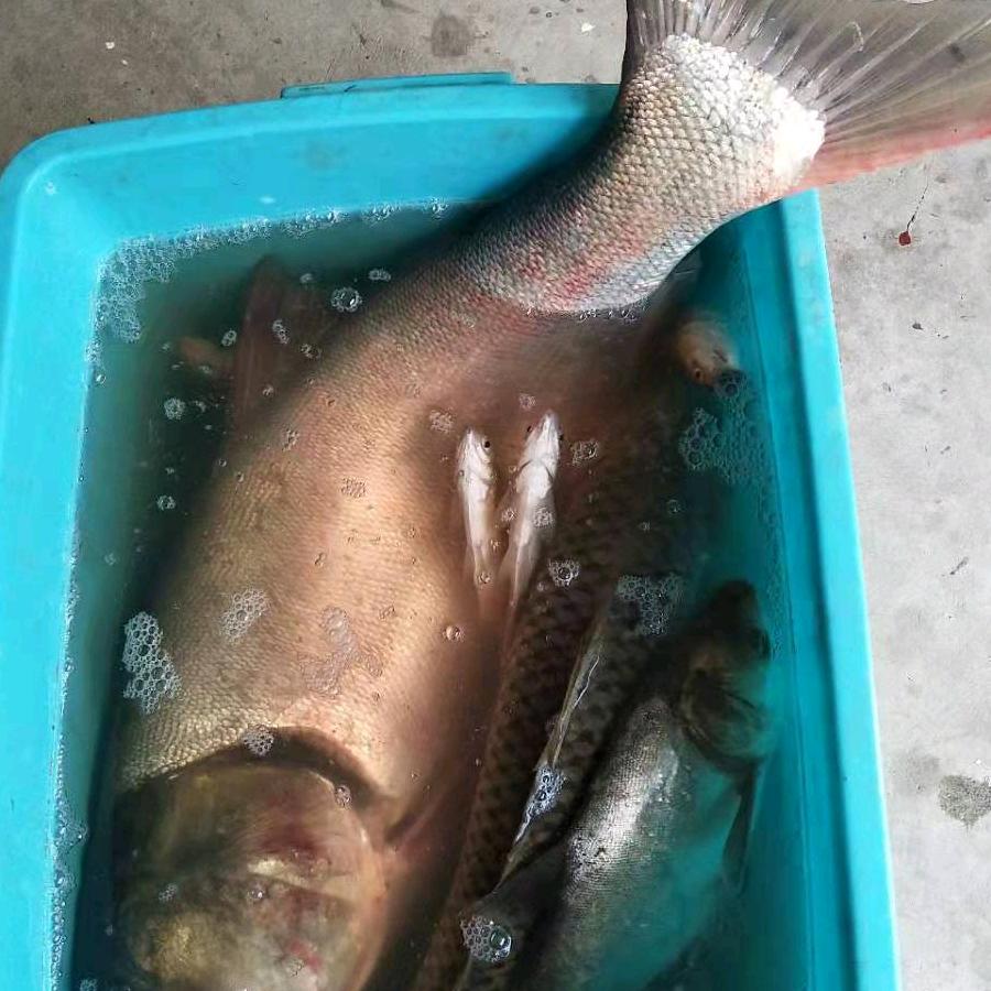 老王