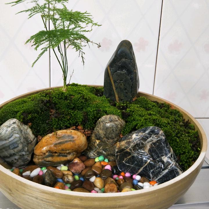 观海听涛