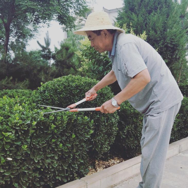 蓝天的海