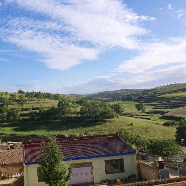 陇东黄土地