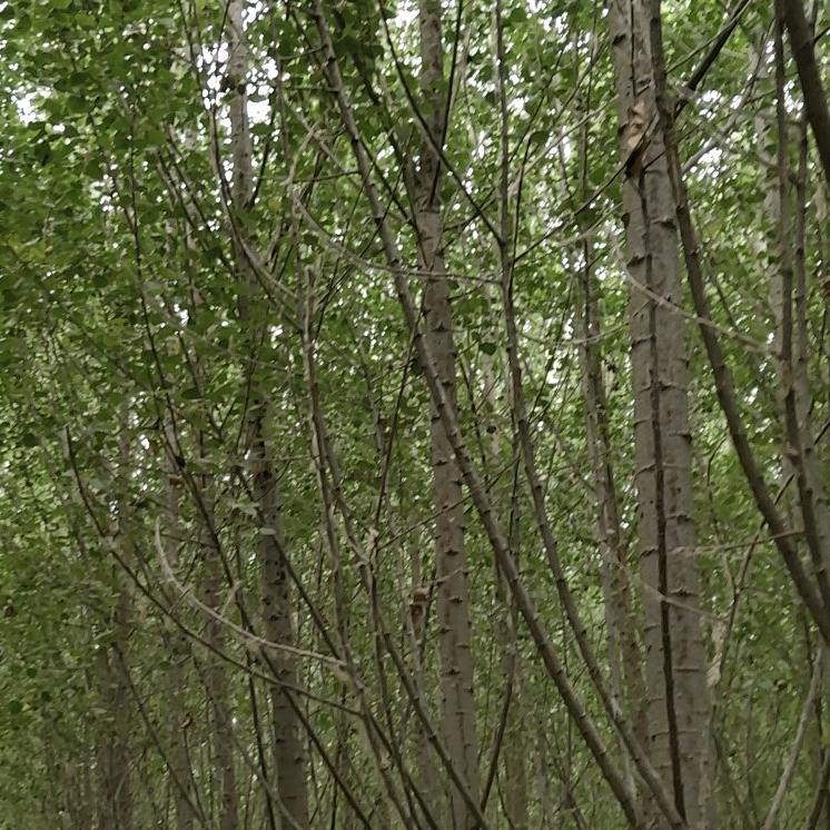 &刘家小姐姐*^O^*