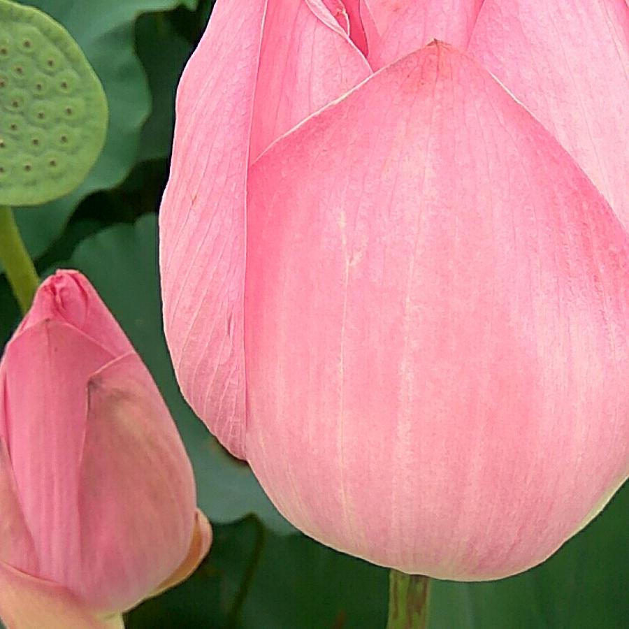 开心快乐每一天