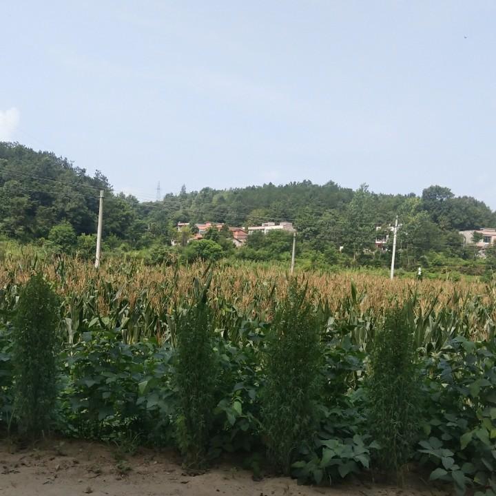 用户爱拼才会赢6461752665451