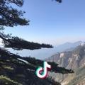 起风了