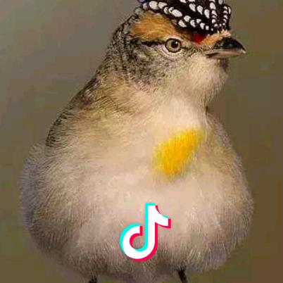 荣子