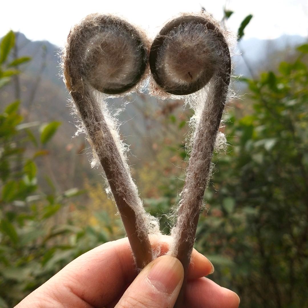 习💞᪲惯ღ᭄有你💞᪲ღ