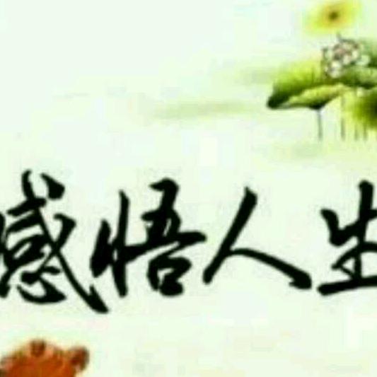 人生感悟