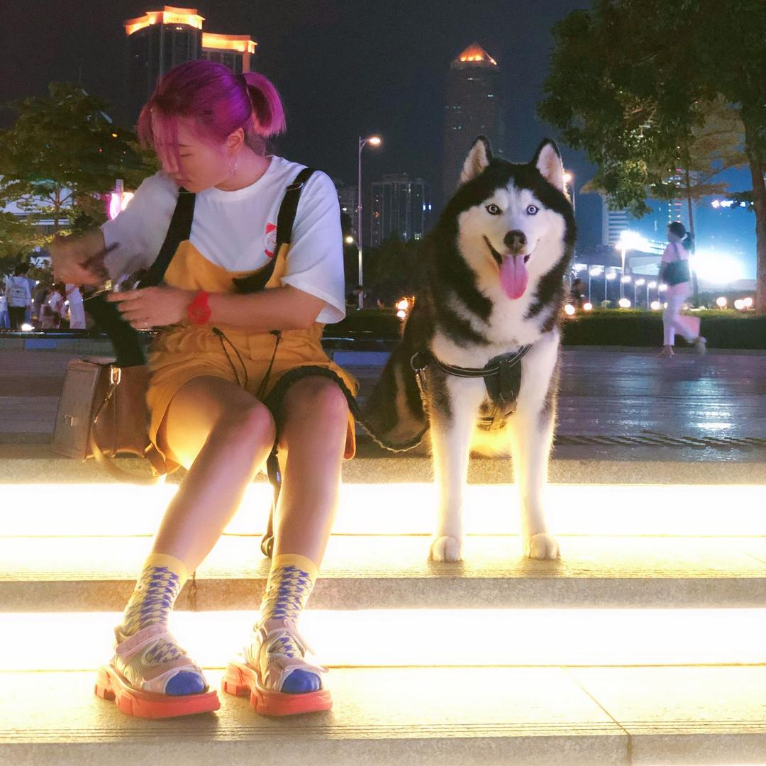 迨迨dài的王子