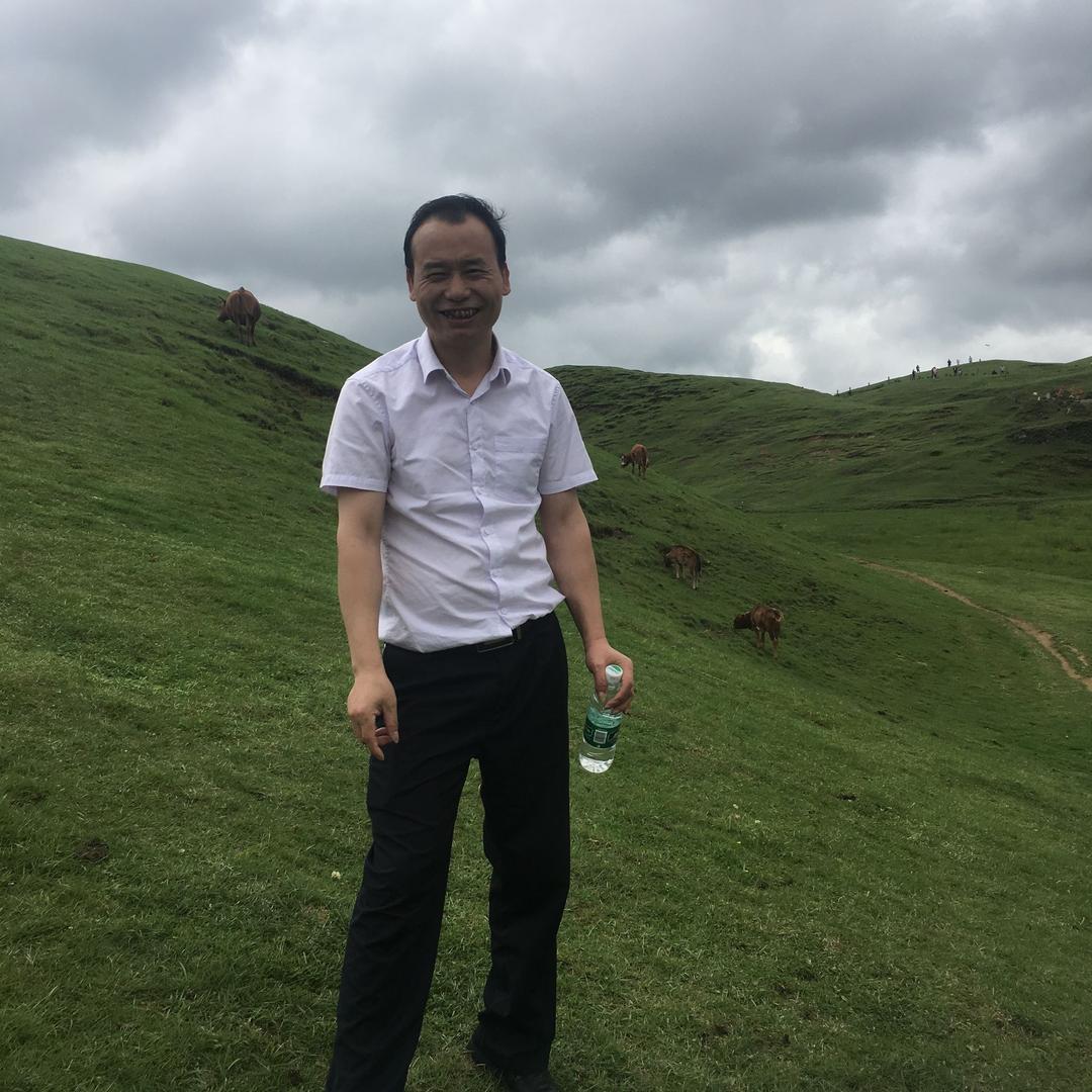 前陈似锦
