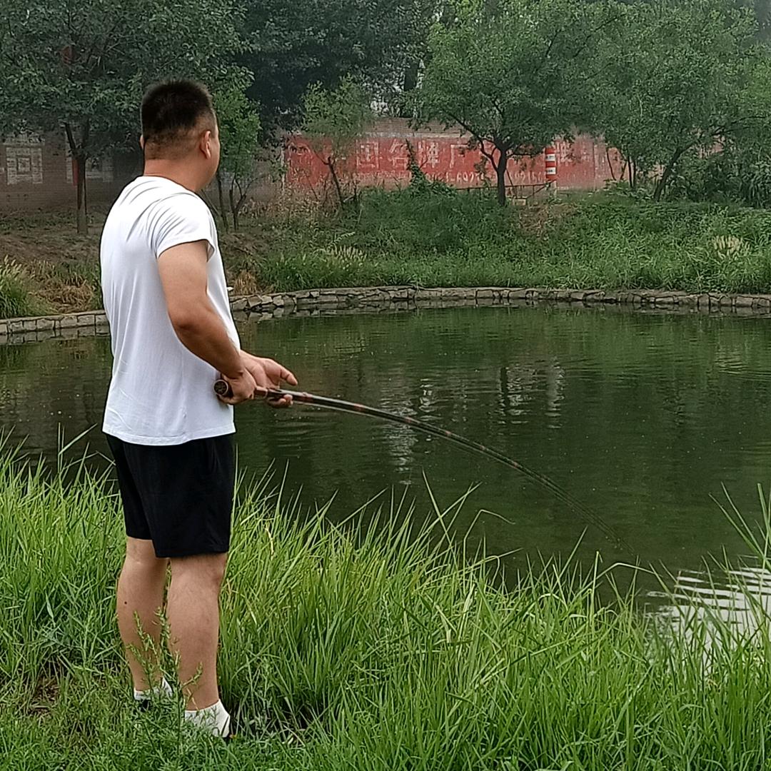 红狐狸