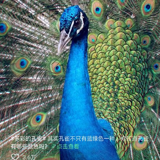 雨荷。👫👫👫