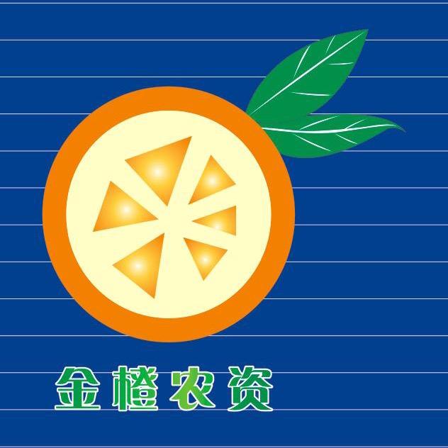 金橙袁刚