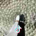 韩少