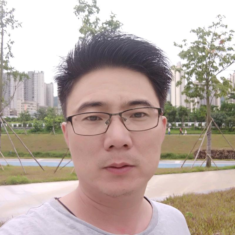 土鸡、鸭、鹅、鸽子。波哥