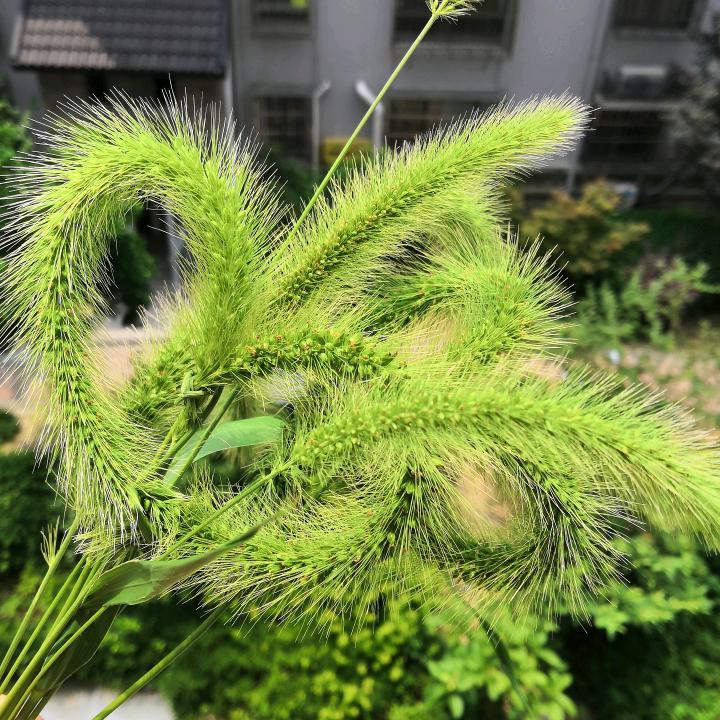 简简♡单单