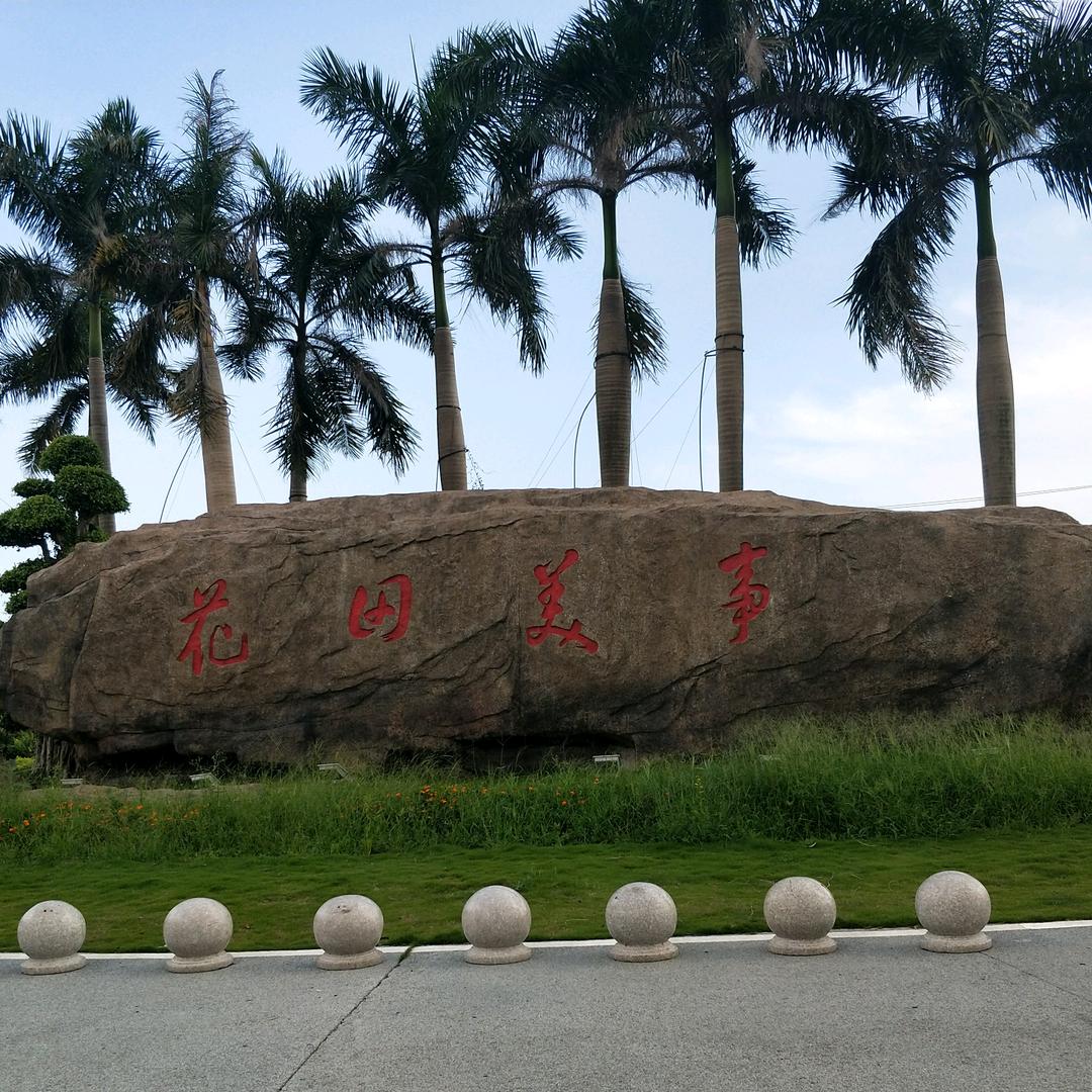 子衿