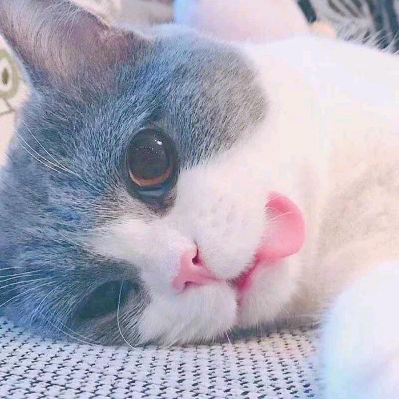 ᝰ泪落‖心◈殇
