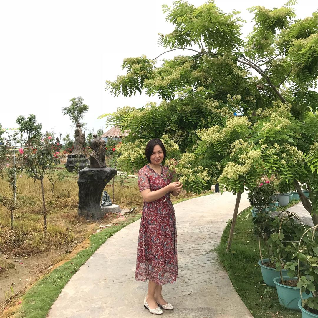 许小雅