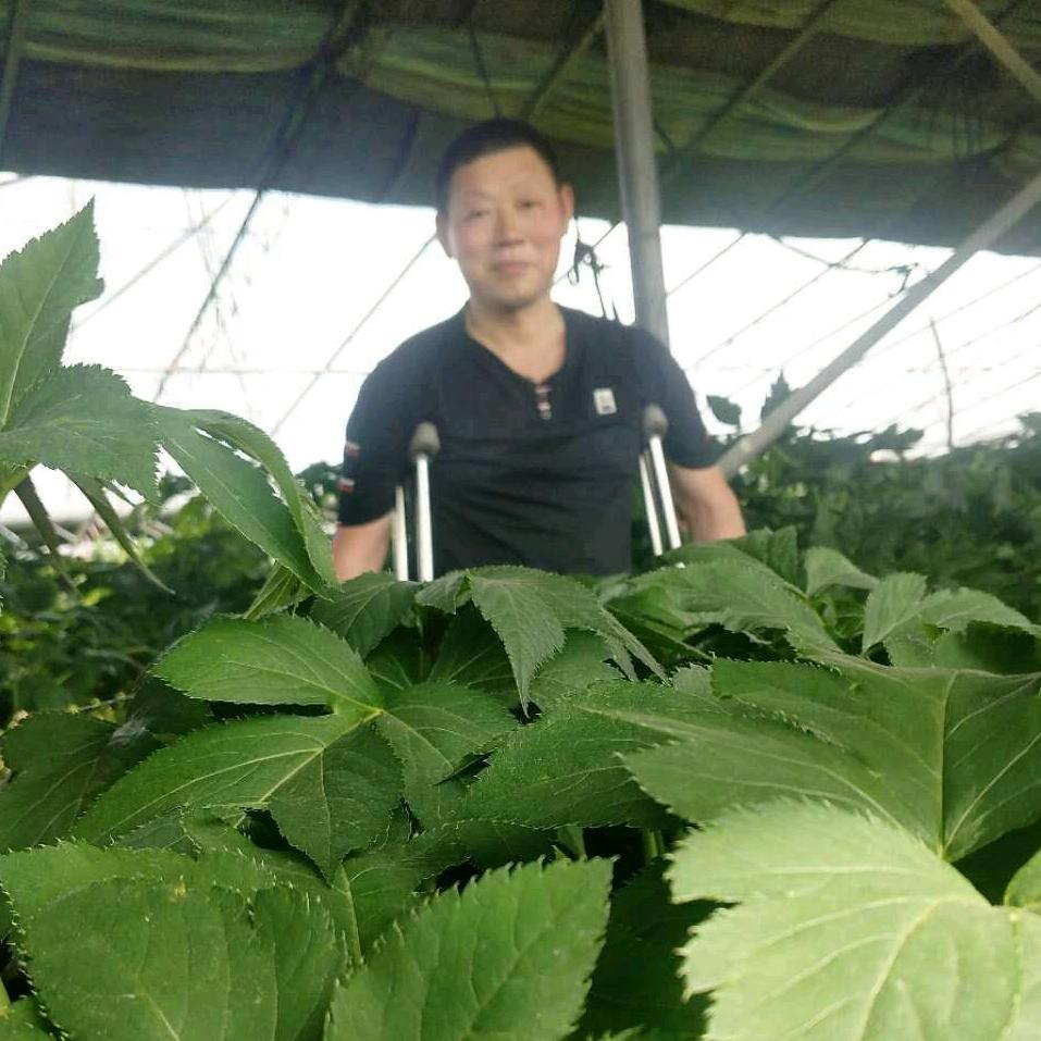 扬帆远航