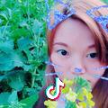 Aim 云朵
