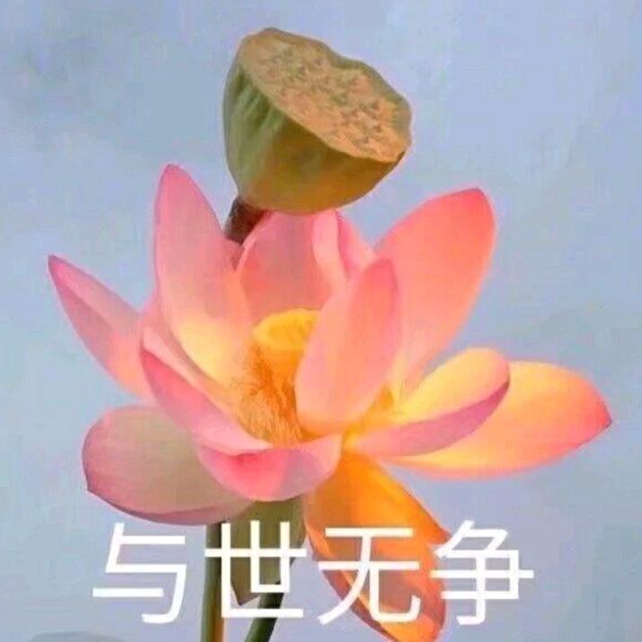 .杨顺芹