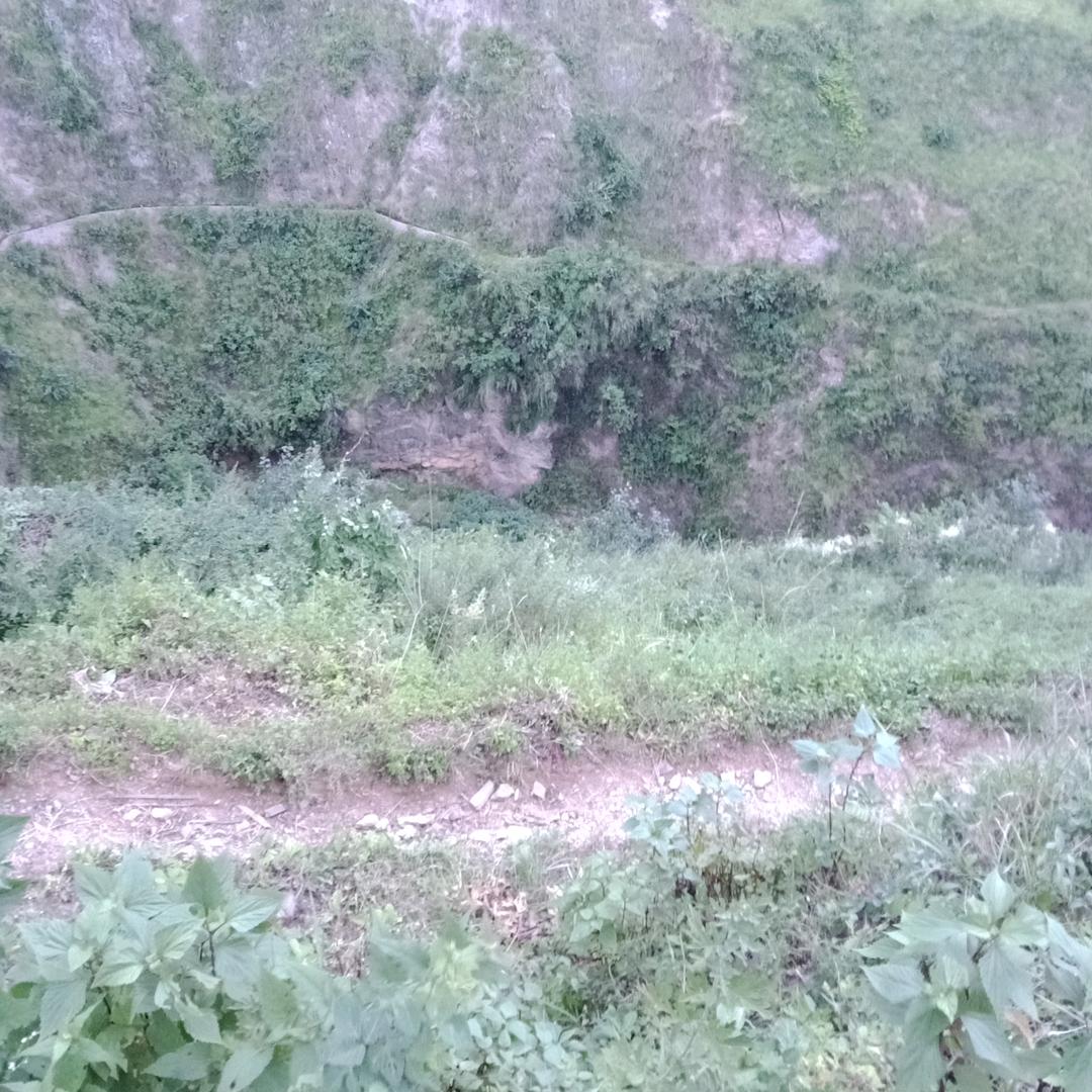 风中的承诺👻👻👻