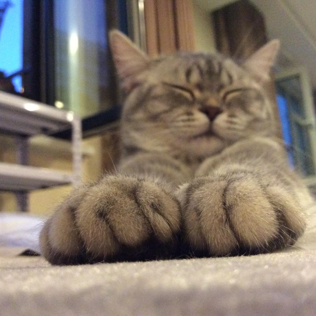 飘渺