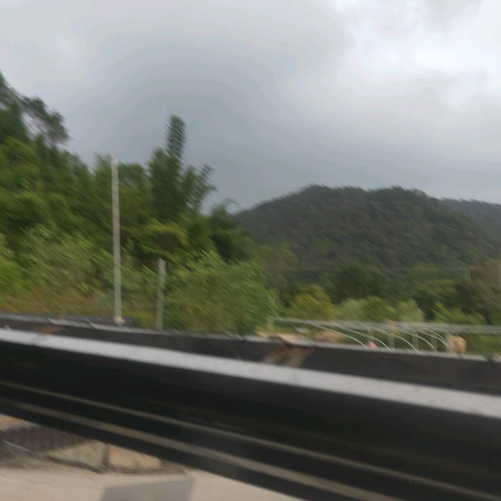 跳动的字母