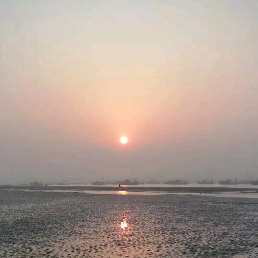 家停煮夫