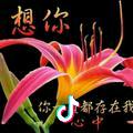 芳洁