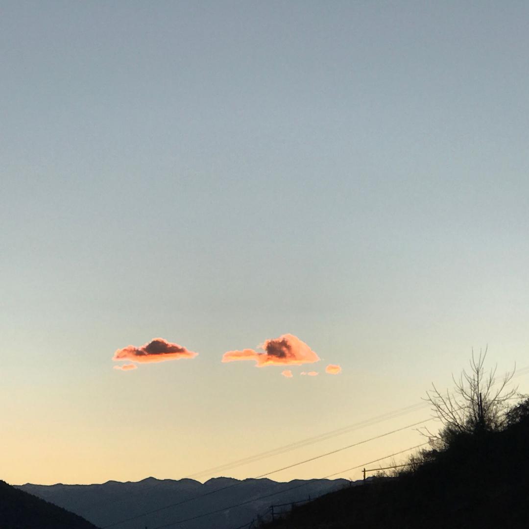 好久不见Y