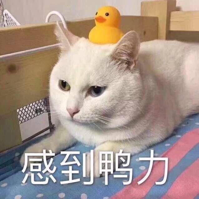 如此，而已