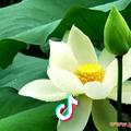 缘份