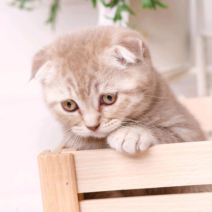 美丽俏佳人美发日化店