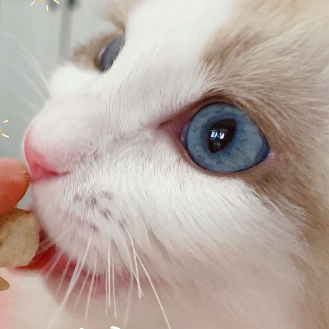 你的宝宝酱
